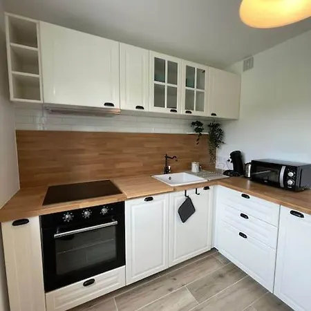 Apartment Proche Stade/eurexpo *